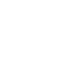 wordpress 1 1